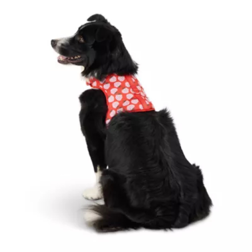 Top Paw Strawberry Fashion Comfort Medium Vest Harness and 4ft Leash